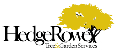 HedgeRowe