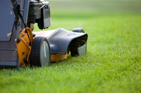Garden Services